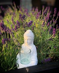 Aromatherapie_Lavendel